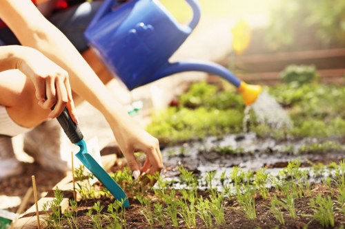 Landscapers in Stockwell creating a garden design plan