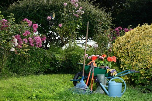 Regular lawn care and weeding in a compact South London garden