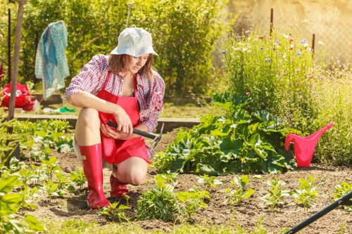Hard landscaping and planting improvements for a South London property