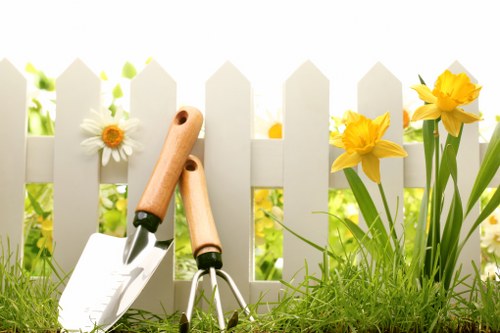 Garden renovation planning and clearing in a Stockwell residential garden