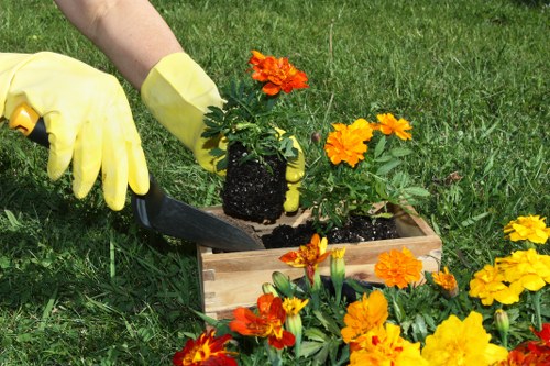 Low-maintenance garden landscaping solution for Stockwell properties