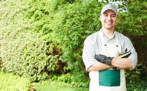 Professional landscaping work for residential and commercial outdoor spaces in Stockwell
