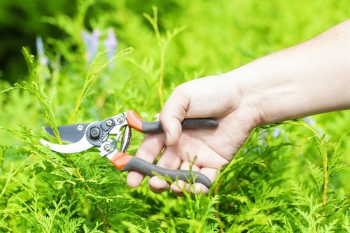Professional planting installation in a Stockwell residential garden