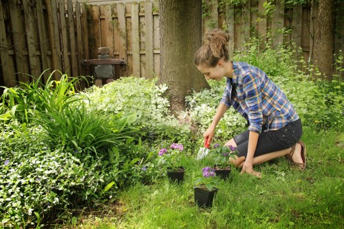 Landscapers keeping an outdoor area tidy and hazard-free