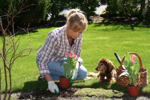 Eco-friendly garden waste separation in a Stockwell area
