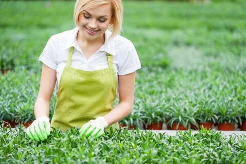 Landscape gardening work adapted to Stockwell access and property types