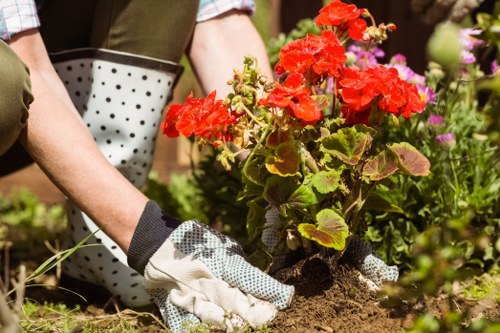 Hard landscaping and planting features for a Stockwell outdoor space