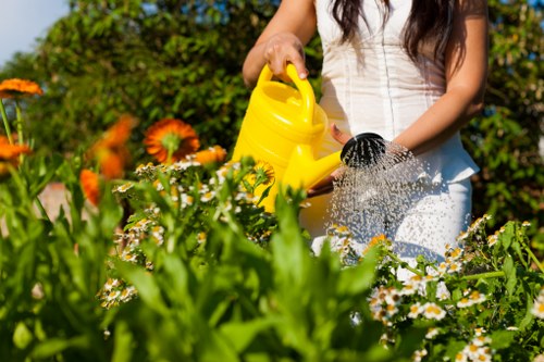Low-maintenance planting design suited to Stockwell properties
