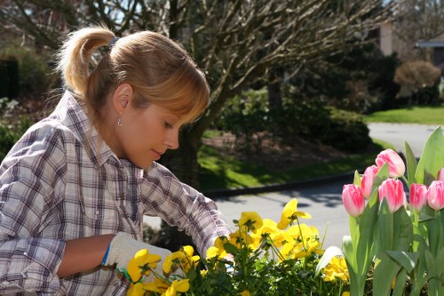 Professional landscaping in Stockwell with planting and paving