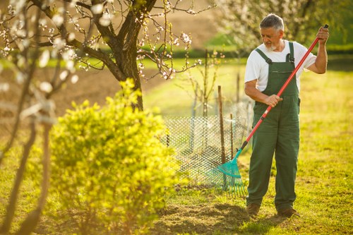 Local gardener providing lawn maintenance for a Stockwell property