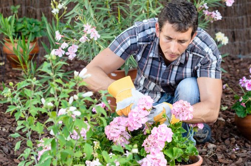 Clearing branches, leaves, and garden debris from a compact London backyard